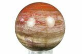 Colorful Petrified Wood (Araucaria) Sphere - Madagascar #286137-1